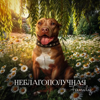 Логотип @ysimagrc - НЕБЛАГОПОЛУЧНАЯ Family