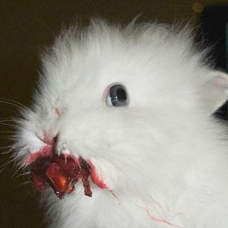 Логотип @ytfcfvhyjvgvj - ккк