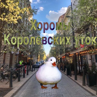 Логотип @ytka_chat - Утки