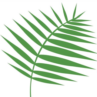 Логотип @yugpalmer - Южный Паломник🌿