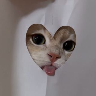 Логотип @yukkarecommend - YukkaRecommend