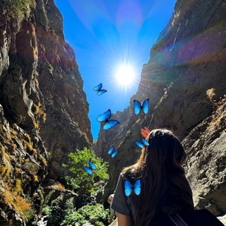 Логотип @yuksaklik_n - Dear Diary 🤍