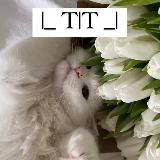 Логотип @yulianochkkkka - 🐍Gurza🐍