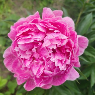 Логотип @yuliya_ayuva1 - Обережный круг силы