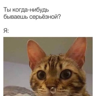 Логотип @yumorfmuzb - Юмор FM