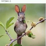 Логотип @yumortop23 - Юмор, твоё настроение на день 😂