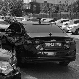 Логотип @yunusovaass - Prvt99