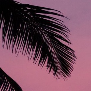 Логотип @yurakrasil_live - Красильников Live - Фотобанки и не только