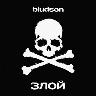 Логотип @yuricad77 - bludson
