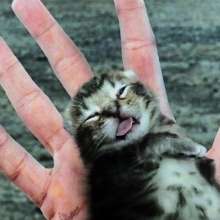 Логотип @yurik337 - УЛЫБКА Chat