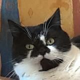 Логотип @yuriprofessional - Yuri The Professional