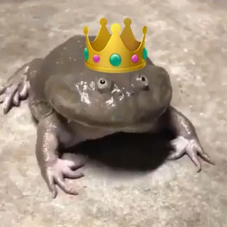 Логотип @yushumyushum - Тетрадь по всём | Юля Шумакова