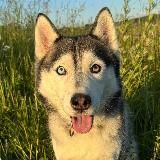 Логотип @yutalot - .