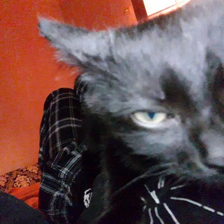 Логотип @yuuupchat - заложники yup