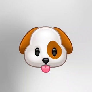 Логотип @yyjrjrjjrj - Собачка джейсси🫀❤️‍🩹