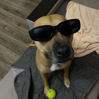 Логотип @yyyytgjjj - йоу