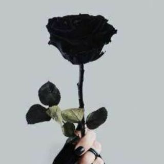 Логотип @z1mastfa - ┄༻گگو