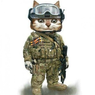 Логотип @z4eyrr7690rus - Чат Интересная Россия🇷🇺Z