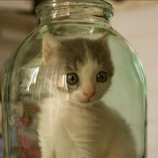 Логотип @za_cto_ban - За что меня забанили у Машковой?