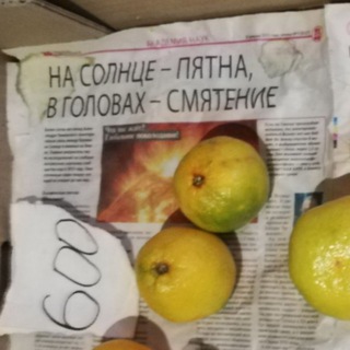 Логотип @za_golovki - Настоящий заголовок или нет?