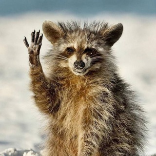 Логотип @zabavi - Забавно и точка