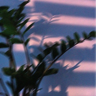 Логотип @zabbotaa - zabbotaa