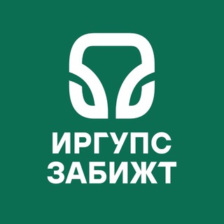 Логотип @zabizht_chita - ЗабИЖТ