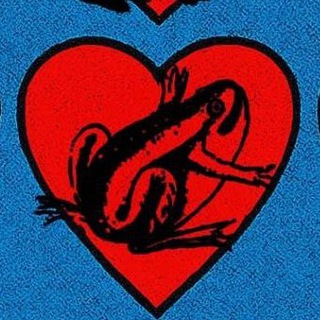 Логотип @zabkka - жабы и лягушки на месте