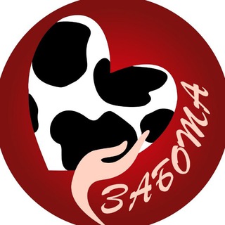 Логотип @zabota_dv - zabota_dv