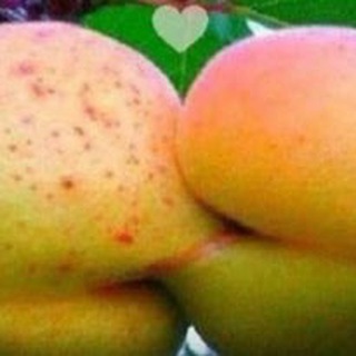 Логотип @zachisleno1 - ЖС. Образование