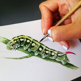 Логотип @zadisovka - Зарисовка 🎨