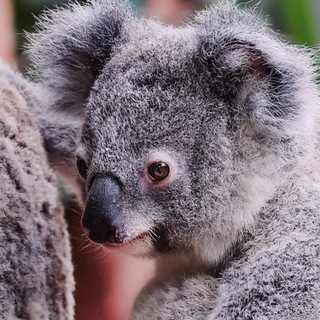 Логотип @zaebalsya_ochen - на сегодня заебался достаточно