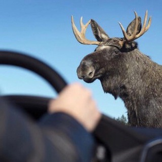 Логотип @zaekad - заЕКАДье