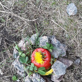 Логотип @zagadki_dlya_rebyatok - Загадки для ребяток