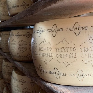 Логотип @zaharovopodvorje - Сыроварня «Захарово подворье»