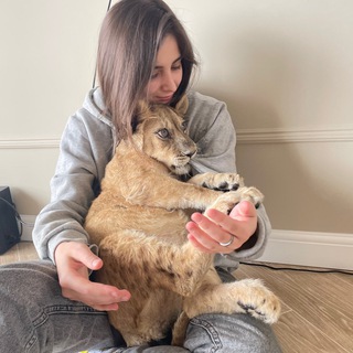 Логотип @zahlepka - Zahlepka