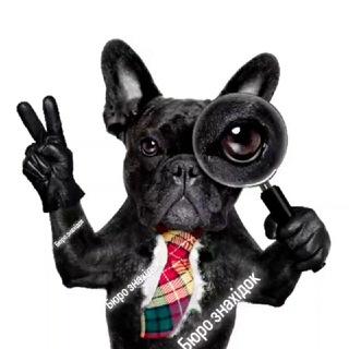 Логотип @zahubyvshchosvin - Загубив щось ? | Вінниця