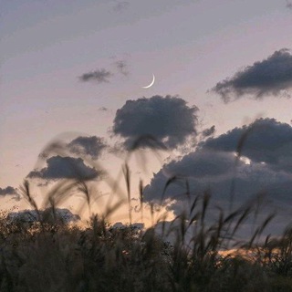 Логотип @zaichikor - Чатик светлого будущегo