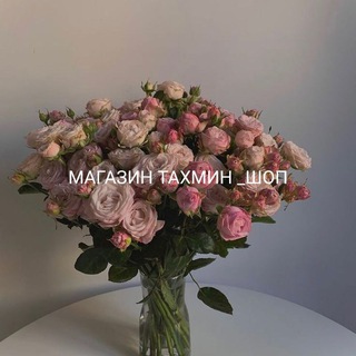 Логотип @zakaz0808 - Вацап 917059541 заказ