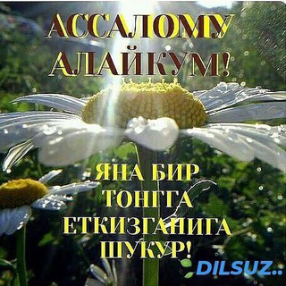 Логотип @zakaz_bass_muzika - 𝙕𝘼𝙆𝘼𝙕 𝙈𝙐𝙎𝙄𝙆