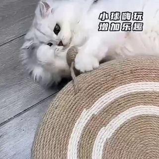 Логотип @zakazu_for_animals - Товары для животных из Китая от Заказу