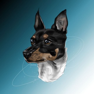 Логотип @zakkytft - 🐾Микрочудик Закки💙