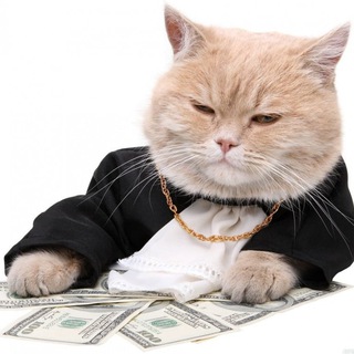 Логотип @zakon_bizness - Налоги | Законы | Бизнес