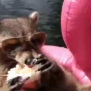 Логотип @zalipa4 - EtteRnitY|FreeDom|