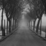 Логотип @zaliv_darknet_chat - Zaliv Chat