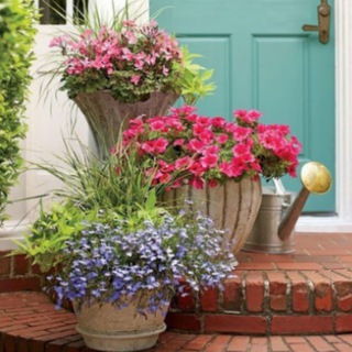 Логотип @zalsamdecor - Интерьер, декор и ремонт