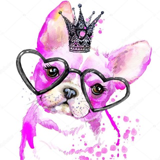 Логотип @zameri_odegdi - Замеры одежды и водеообзоры