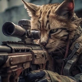 Логотип @zametki_buhgaltera - Заметки Бухгалтера