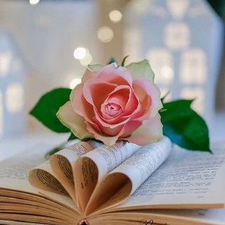 Логотип @zametkidlyadushi - ЗАМЕТКИ ДЛЯ ДУШИ