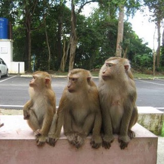 Логотип @zametkiputeshestvie - Заметки путешественника